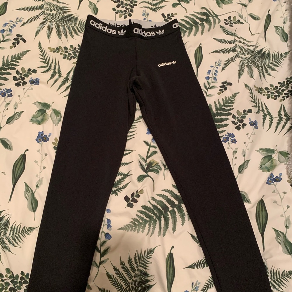 Women’s tights